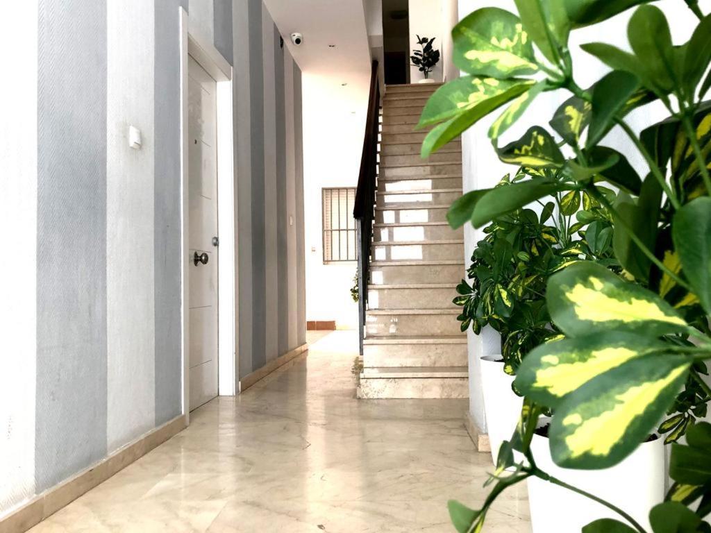 מאלגה Amazing Location, Full Equiped City Center! 1ª A מראה חיצוני תמונה